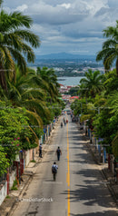 Tropical Urban Street Scene with Palm Trees and Waterfront View