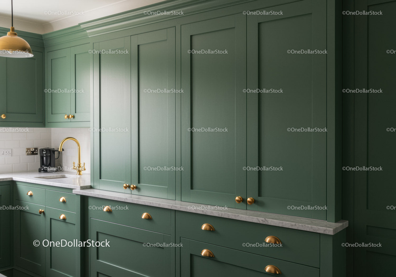 Modern Green Kitchen Cabinets with Gold Handles and Stylish Interior
