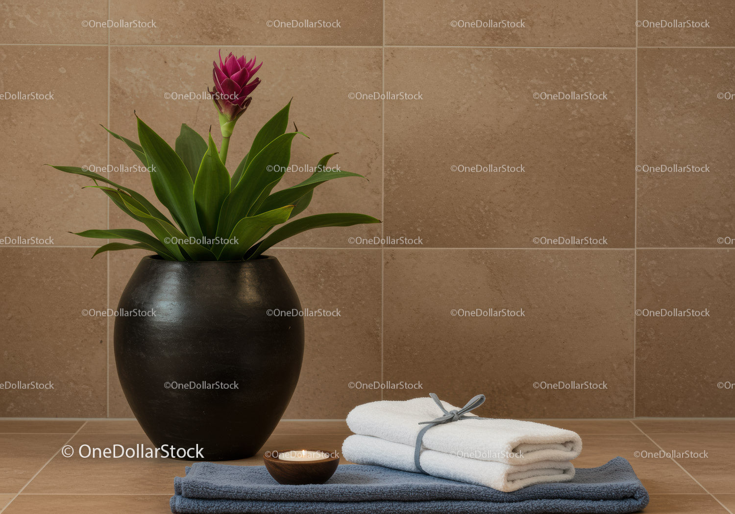 Elegant Tulip Flower in Black Vase with Towels and Spa Elements