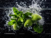 Fresh Green Basil Leaves Splashing in Water in a High-Res Image