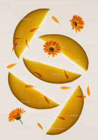 Sliced melon with vibrant orange flowers and petals