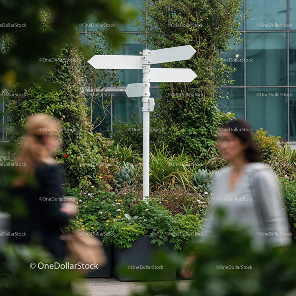 Blank Directional Signpost Surrounded by Urban Greenery JPG Mockup Image