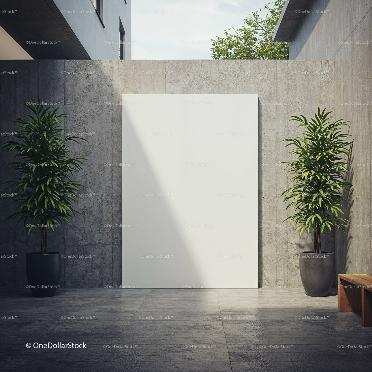 Modern outdoor space with blank wall and green plants