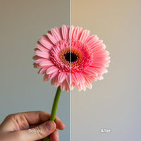 Before and after Blossom LUT Pack effect