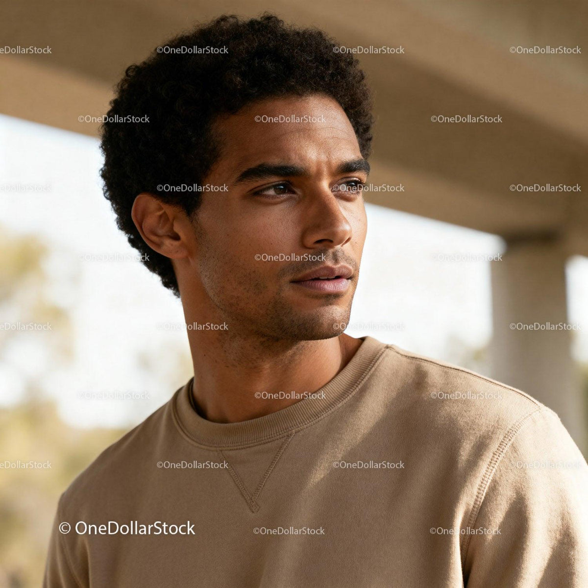 Thoughtful young man looking away in soft daylight
