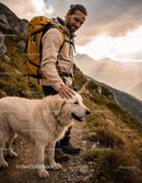 Hiker Enjoying Mountain Trek with Friendly Large Dog