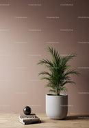Stylish Green Palm Plant in Modern Interior with Wooden Surface