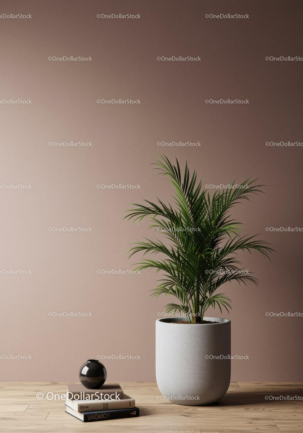Stylish Green Palm Plant in Modern Interior with Wooden Surface