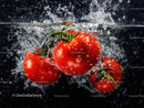 Fresh Red Tomatoes Splashing into Water in Artistic Food Photography