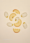 Apple slices and delicate white flower petals composition