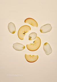 Apple slices and delicate white flower petals composition