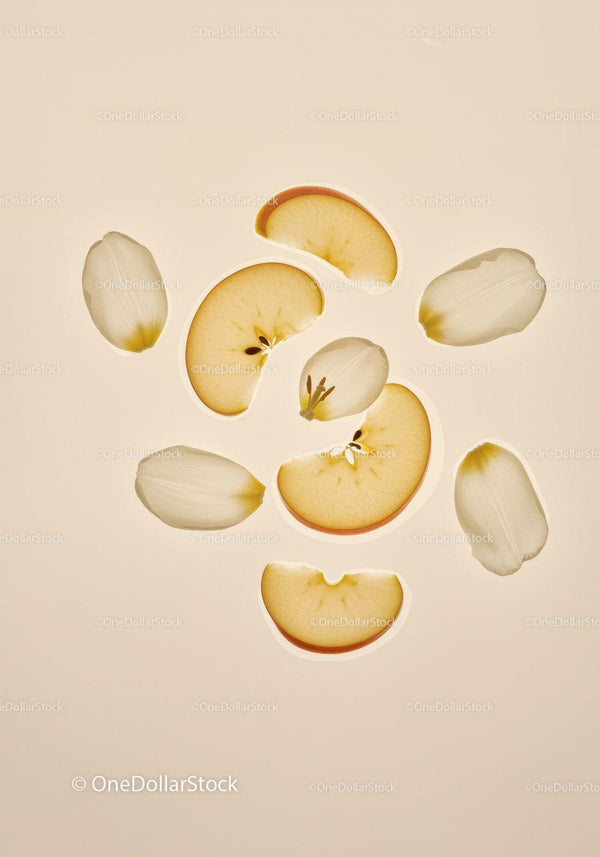 Apple slices and delicate white flower petals composition