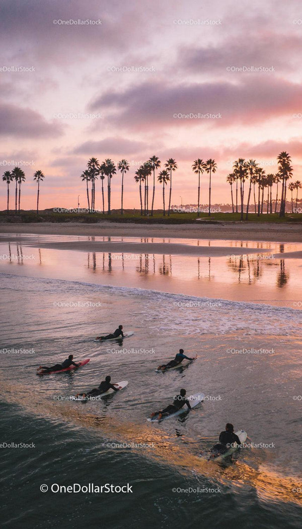 Group of surfers paddling at sunset near palm trees