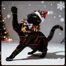 Festive cat playing in winter holiday setting