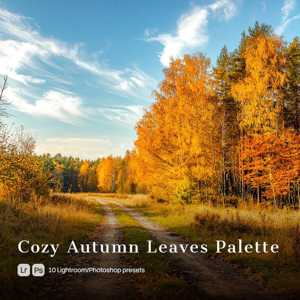Cozy Autumn Leaves Palette Presets (10 XMP files)