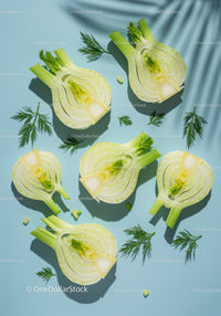 Fresh fennel bulbs sliced with dill on blue background