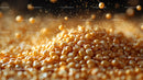 Close-Up of Golden Coffee Beans with Salt Sprinkles in Warm Light