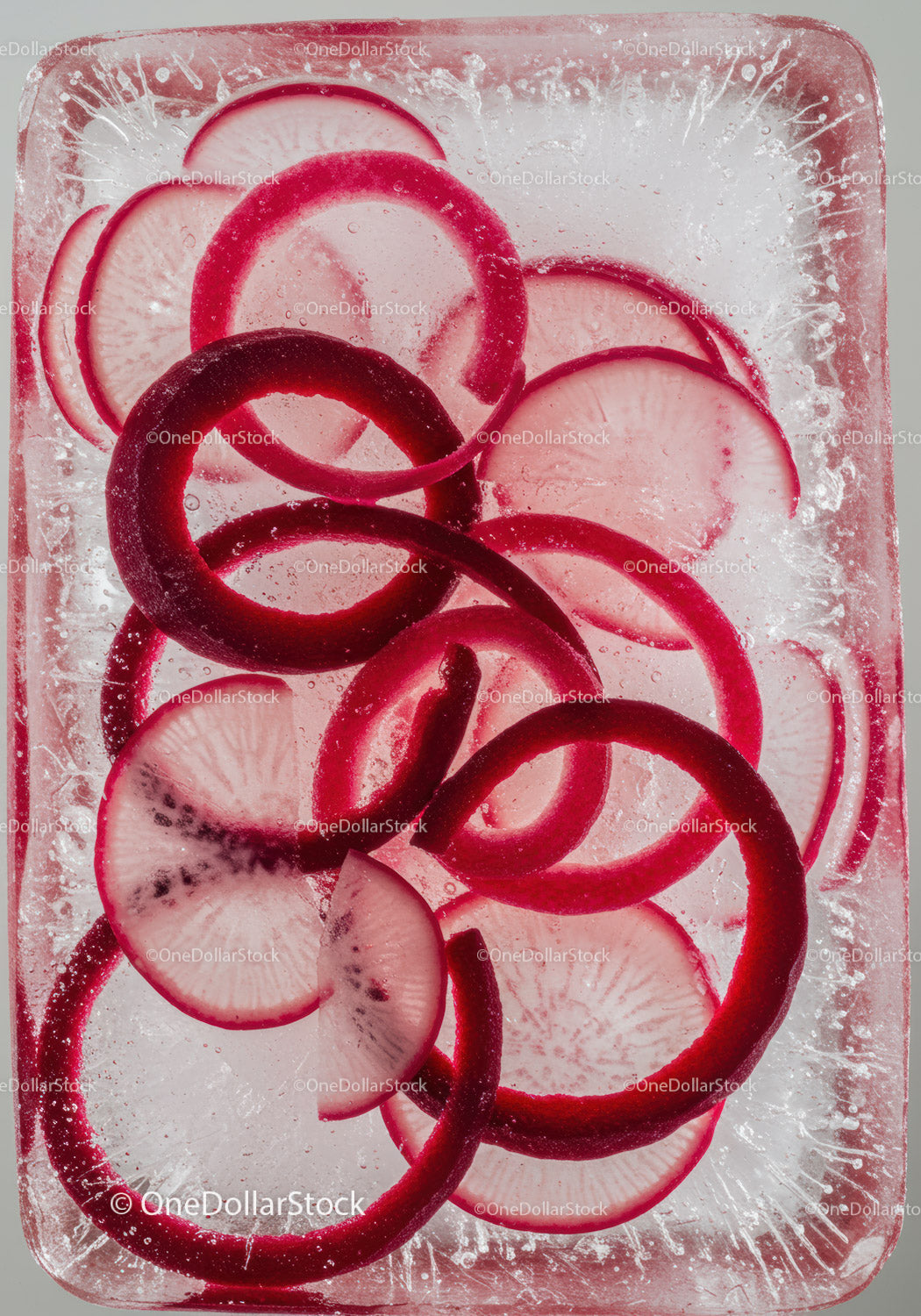 Fresh radish slices frozen in clear ice block