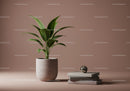 Green Foliage in White Pot with Modern Decor and Books