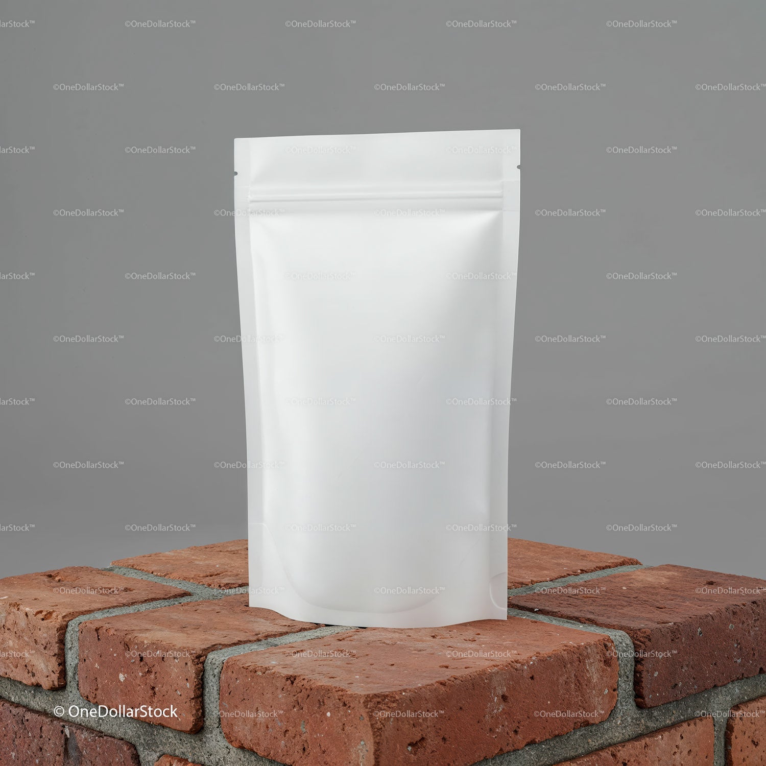 Blank White Stand-Up Pouch on Rustic Brick Surface