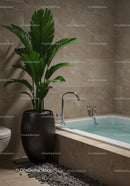 Modern Indoor Bathroom with Large Green Plant and Relaxing Bathtub