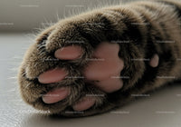 Close up of a cat paw with pink pads resting peacefully