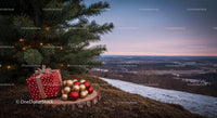 Christmas Gifts and Ornaments by Snowy Outdoor Pine Tree