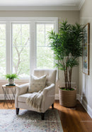 Bright Sunlit Room with Large Tropical Houseplant and Cozy Armchair