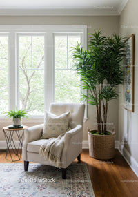 Bright Sunlit Room with Large Tropical Houseplant and Cozy Armchair