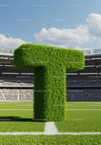 Green grassy letter T on football field in stadium