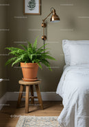 Green Fern in Modern Bedroom with Wall Lamp and Wooden Stool