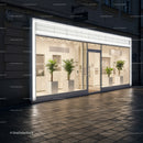 Modern illuminated storefront with indoor green plants