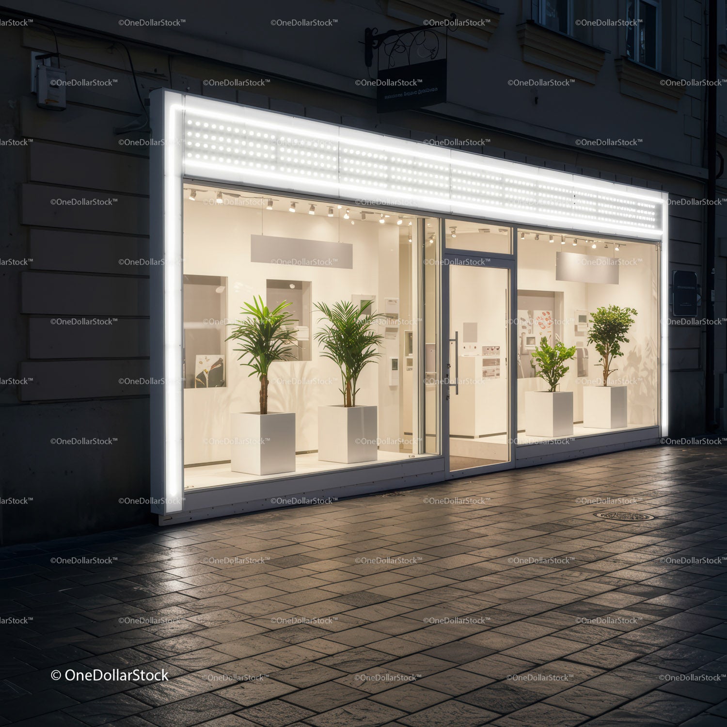 Modern illuminated storefront with indoor green plants