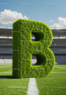 Green Grass Letter B on Football Field