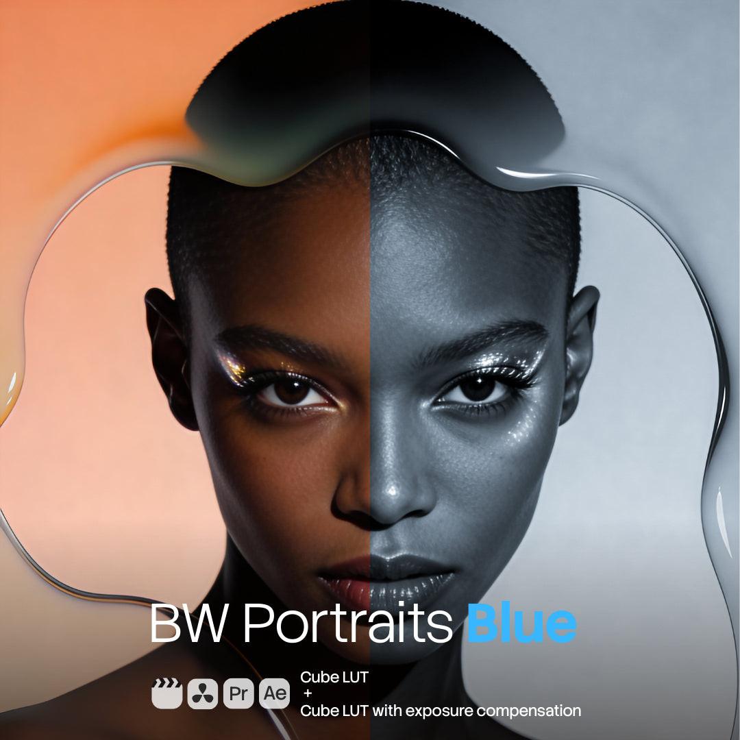 BW Portraits Blue LUT Pack preview