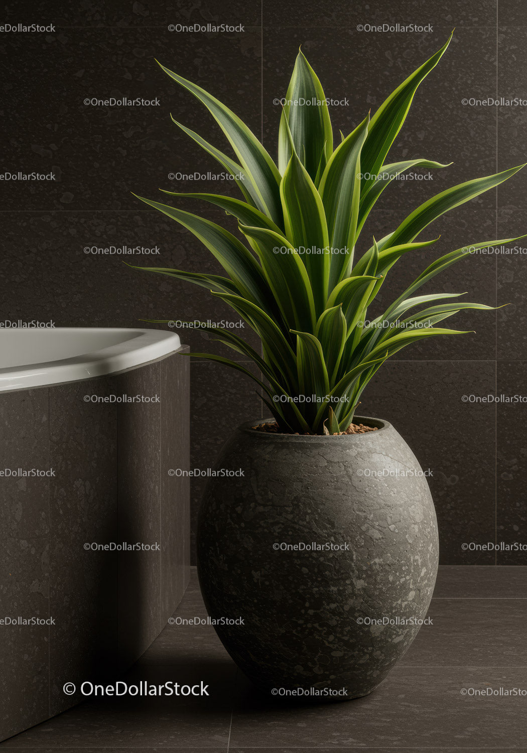 Green Foliage Plant in Stylish Ceramic Pot for Modern Interior Decor