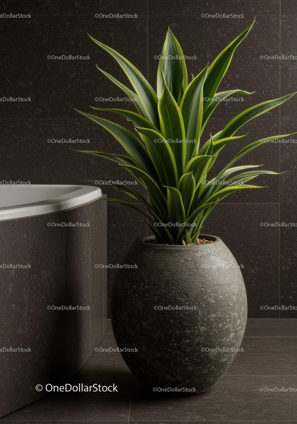 Green Foliage Plant in Stylish Ceramic Pot for Modern Interior Decor