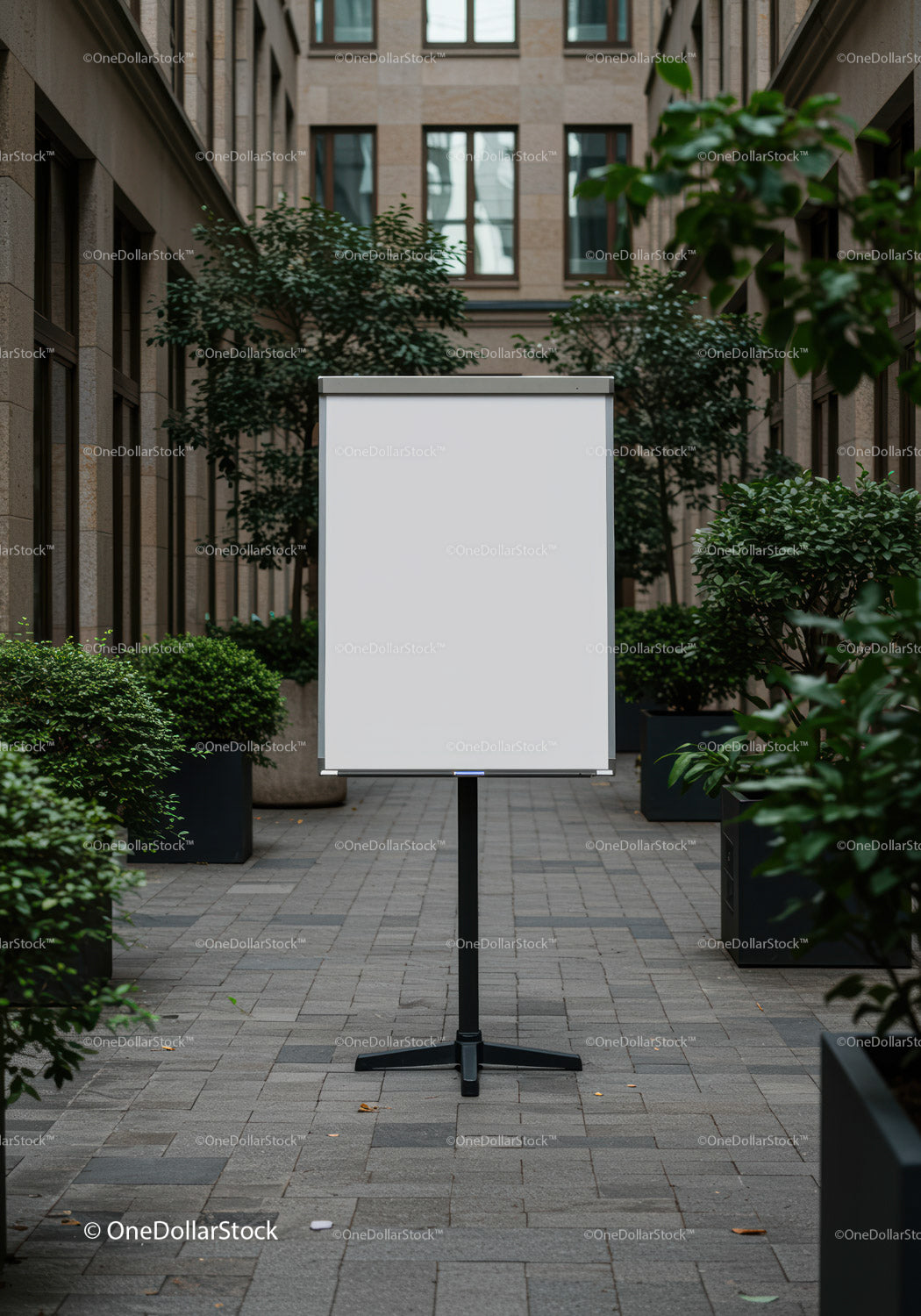 Blank whiteboard in urban courtyard surrounded by greenery