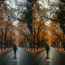 Before and after Autumn Path LUT Pack effect