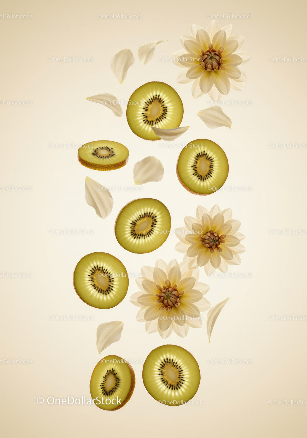 Fresh kiwi slices and delicate cream flowers arrangement