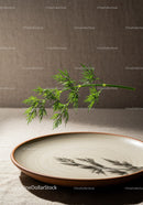 Fresh dill herb casting shadow on empty beige plate