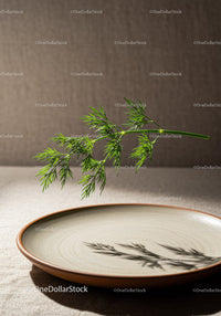 Fresh dill herb casting shadow on empty beige plate