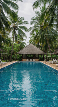 Tropical Resort with Swimming Pool Surrounded by Palm Trees and Lush Vegetation