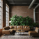 Modern Industrial Living Room with Leather Couch and Green Houseplants