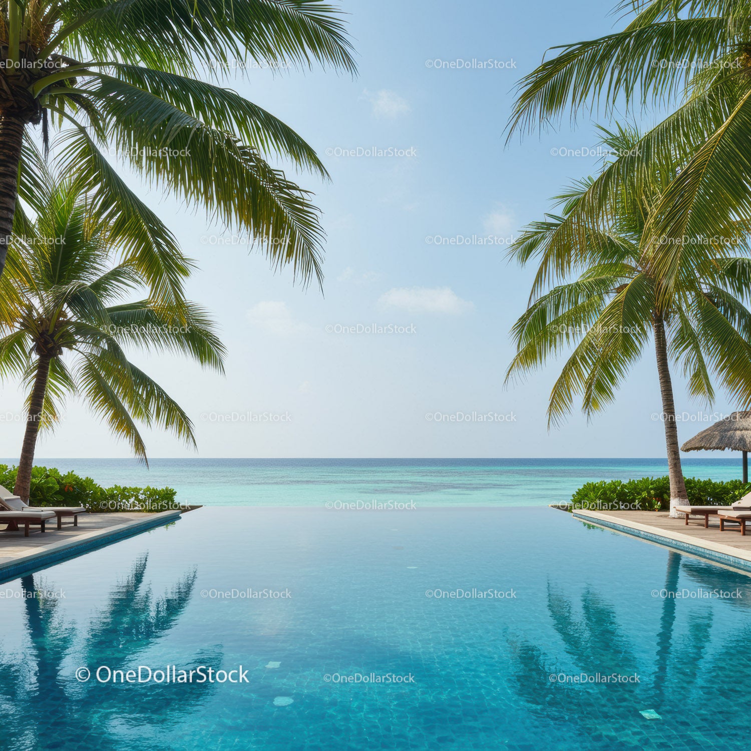Tropical Beach with Infinity Pool and Palm Trees Ocean View