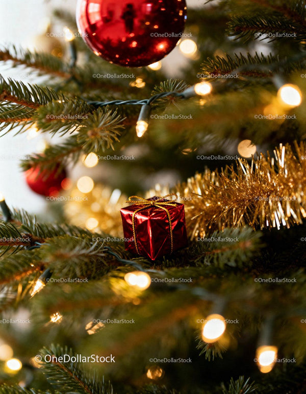 Close-up of Christmas tree with red baubles and lights