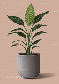 Beautiful Green Foliage Houseplant in Gray Pot for Modern Interior