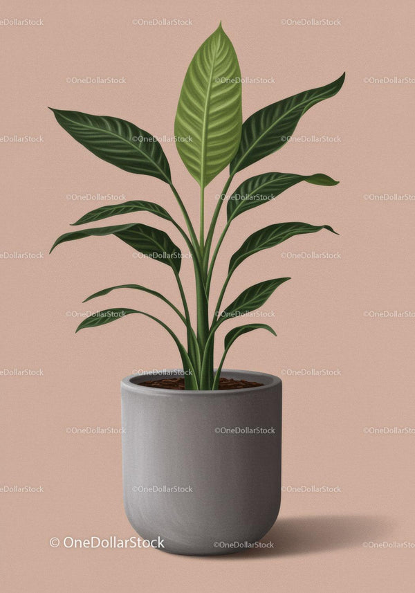 Beautiful Green Foliage Houseplant in Gray Pot for Modern Interior