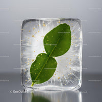 Fresh Green Leaves Encased in Clear Ice Cube