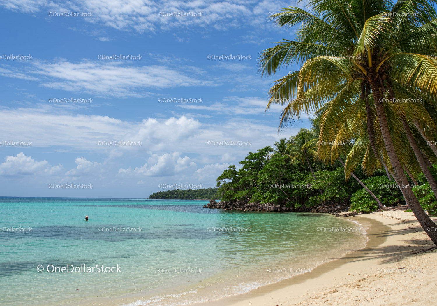 Tropical Beach with Palm Trees and Clear Turquoise Water